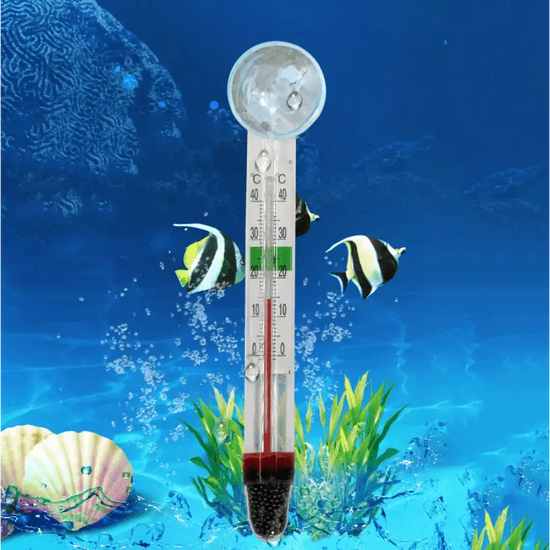 Thermomètre d'Aquarium Numérique -50 ~ + 60 ℃ - Entretien de l