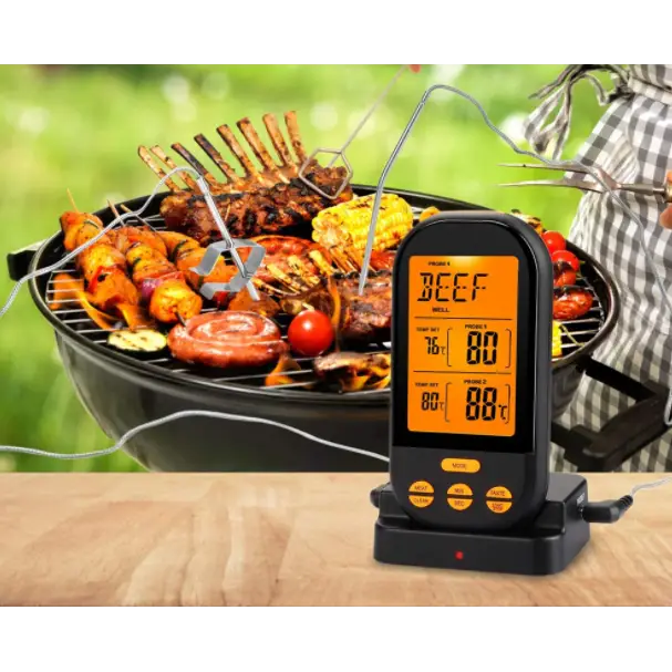 thermomètre de barbecue - thermomètre de barbecue - compteur de