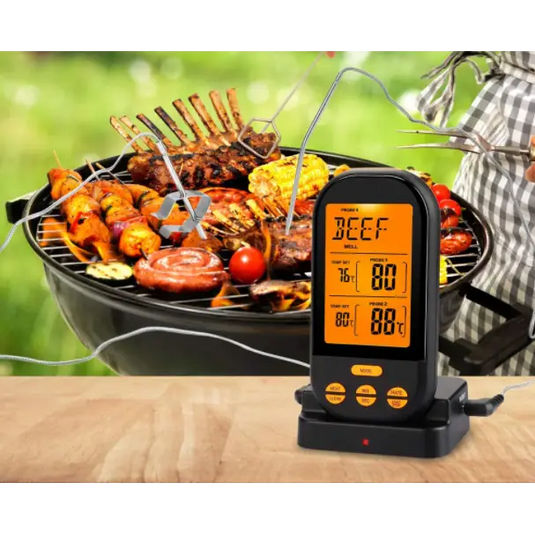 thermometre-barbecue-double-sonde-973